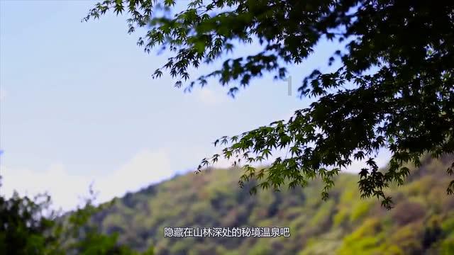 潮人篮球